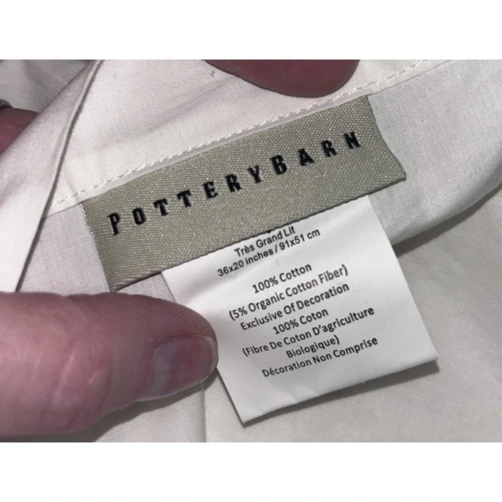 2 Pottery‎ Barn Pearl green embroidered King shams 